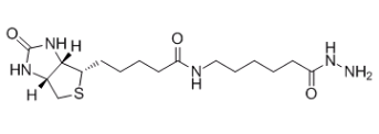 (+)-生物素胺己酰肼；109276-34-8；Biotin LC hydrazide