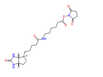 Biotin-C5-NHS Ester 