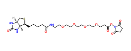 459426-22-3；Biotin-PEG4-NHS ester