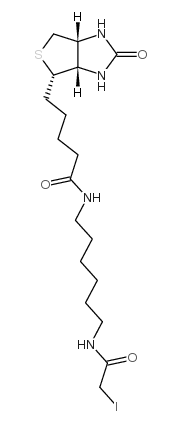Iodoacetyl-LC-biotin；93285-75-7N-碘代乙酸基-N-生物素己二胺