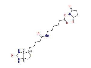 Biotin-C5-NHS Ester；72040-63-2；生物素化-epsilon-氨基己酸-N-羟基丁二酰亚胺活化酯