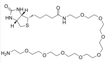 2183447-27-8；Biotin-PEG8-amine