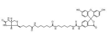 Fluorescein Biotin；134759-22-1；骨化二醇