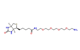 663171-32-2；（+）-Biotin-PEG4-CH2CH2NH2；生物素-五聚乙二醇-氨基