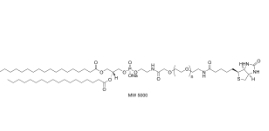 385437-57-0；磷脂-聚乙二醇-生物素；DSPE-PEG-Biotin		