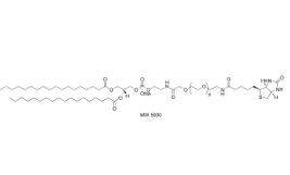 385437-57-0；Biotin-PEG2000-DSPE，DSPE-PEG2000-Biotin	生物素聚乙二醇磷脂	