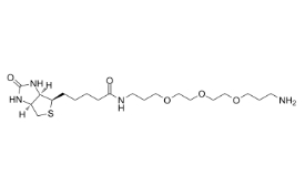 1374658-86-2；Biotin-PEG3-(CH2)3-NH2 TFA salt，Biotin-PEG3-C3-NH2	；生物素-三聚乙二醇-亚甲基-氨基	