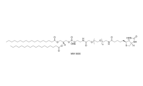 385437-57-0，Biotin-PEG2000-DSPE，DSPE-PEG2000-Bioti；磷脂酰乙醇胺-聚乙二醇2000-生物素