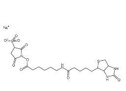 127062-22-0；Sulfo NHS LC Biotin；生物素酰氨基己酸-3-磺酸基-N-羟基琥珀酰亚胺酯