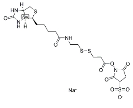 122266-55-1/Biotin-SS-NHS ester/生物素-二硫键-活性酯