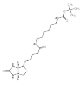 N-BOC-6-生物素酰氨基己胺  
