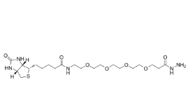 cas: 756525-97-0/Biotin-PEG4-hydrazide/生物素四聚乙二醇酰肼