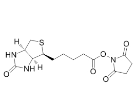 CAS號:35013-72-0；Biotin-NHS Ester；生物素-活化脂、生物素化試劑