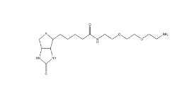 氨基聚乙二醇生物素；BIOTIN-PEG-NH2,
