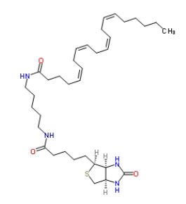 1217901-28-4；Arachidonic Acid-biotin；花生四烯酸生物素酰胺