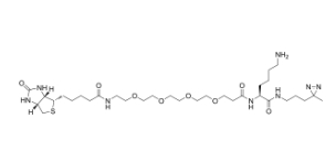 Biotin-probe 1