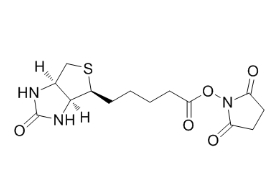 35013-72-0；NHS Biotin；(+)生物素-N-琥珀酰亚胺基酯