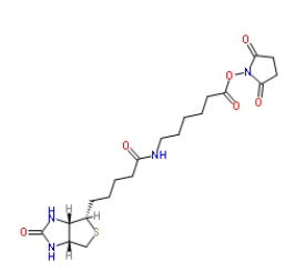 72040-63-2；生物素化-epsilon-氨基己酸-N-羥基丁二酰亞胺活化酯；Succinimidyl 6-(biotinamido)hexanoate	