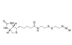 cas:1620523-64-9；Biotin-SS-azide	