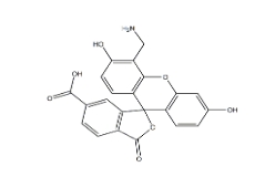 6-羧基-4’-氨甲基荧光素； 6-Carboxy-4'-aminomethylfluorescein
