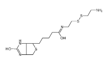 CAS号:128915-82-2；生物素半胱胺；Biotinyl Cystamine