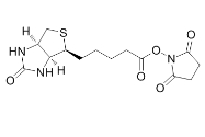 生物素琥珀酰亚胺酯|NHS-biotin|35013-72-0