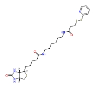 生物素-HPDP 129179-83-5 Biotin HPDP
