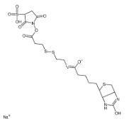 Sulfo-NHS-SS-Biotin 325143-98-4 生物素二硫键磺酸NHS酯