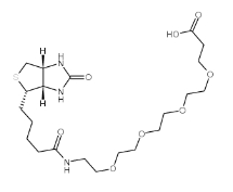721431-18-1；Biotin-PEG4-COOH；15-[D-(+)-生物素氨基]-4,7,10,13-四氧杂十五烷酸