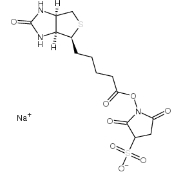 119616-38-5，Sulfo-NHS-Biotin试剂，磺酸基-N-羟基琥珀酰亚胺生物素