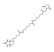 89889-52-1  (+)-Biotin-LC-NHS Ester N-[6-(生物素氨基)己酰基]-6-氨基己酸N-琥珀酰亚胺酯