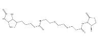 596820-83-6  (+)-Biotin-PEG2-NHS Ester   (+)-生物素-PEG2-NHS酯