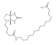 Biotin-PEG4-acid 小分子PEG 721431-18-1 生物素-四聚乙二醇-酸