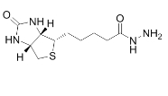 Biotin hydrazide，小分子PEG,66640-86-6，生物素酰肼