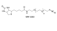 956494-20-5,Biotin-PEG23-azide  (+)-BIOTIN-PEG23-CH2CH2N3
