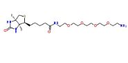 663171-32-2  Biotin-PEG4-Amine  四聚乙二醇氨基生物素