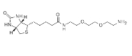 138529-46-1;Biotin-PEG2-NH2;N-生物素-3,6-二氧辛烷-1,8-二胺