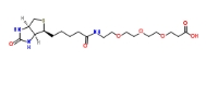 252881-76-8 Biotin-PEG3-COOH Biotin-PEG3-propionic acid   (+)-生物素-PEG 3 -丙酸