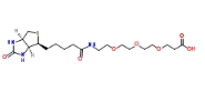 CAS:252881-76-8  Biotin-PEG3-acid   (+)-生物素-PEG 3 -丙酸