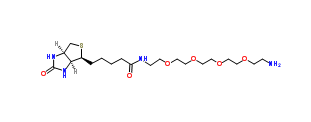 Biotin-PEG4-amine；663171-32-2；生物素-PEG4-胺
