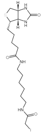交联剂：Iodoacetyl-LC-Biotin，93285-75-7，生物素化的亲电子探针