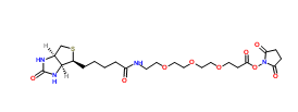 1253286-56-4；Biotin-PEG3-NHS ester；生物素-PEG3-NHS酯