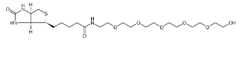 906099-89-6；Biotin-PEG6-alcohol