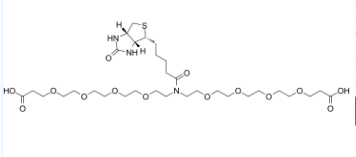 1964503-35-2；N-Biotin-N-bis(PEG4-acid)