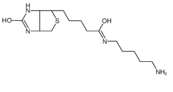 5-(Biotinamido)pentylamine；5-(氨基维生素)戊胺