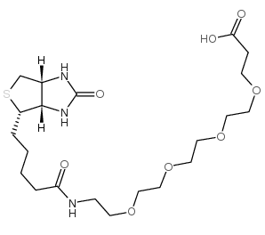 721431-18-1；15-[D-(+)-生物素氨基]-4,7,10,13-四氧杂十五烷酸