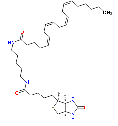 1217901-28-4；花生四烯酸生物素酰胺