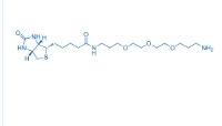 生物素三聚乙二醇氨基  183896-00-6 Biotin-PEG3-NH2  Biotin-PEG3-C3-NH2