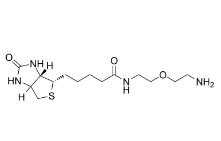 811442-85-0；Biotin-PEG1-amine；生物素-二聚乙二醇-氨基	