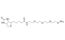 1786206-22-1；Biotin-PEG3-oxyamine HCl salt；生物素-PEG3-氧胺鹽酸鹽	